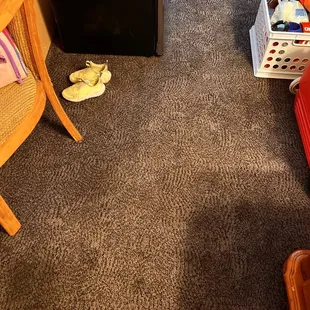 Carpet that is disgusting