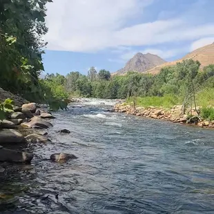 Big Daddy rapids view from in front of the River's Edge Cottage.