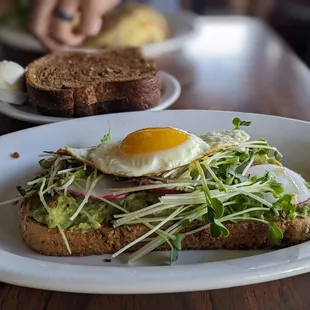 Avocado toast with egg