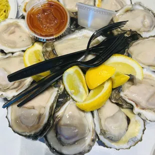 Oysters
