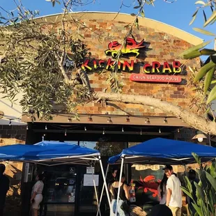  group of people under umbrellas