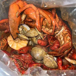 food, shellfish, oysters and mussels, mussels, oysters