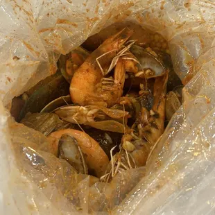 oysters, mussels, oysters and mussels, shellfish, food