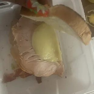Turkey Melt