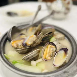 shellfish, mussels, oysters, food, oysters and mussels