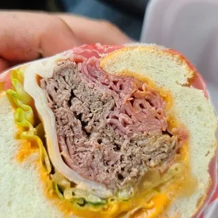 a person holding a sandwich