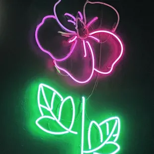 Rose on the wall