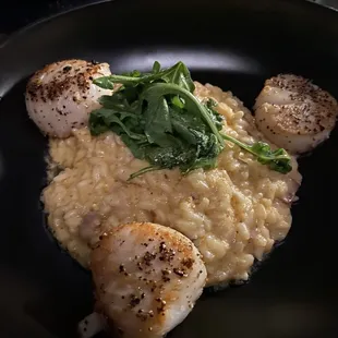 Sea Scallops