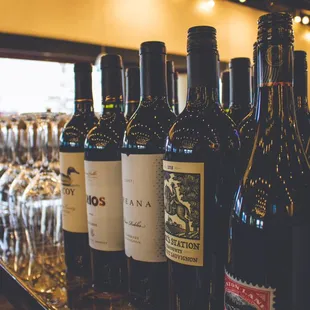 Red Wines By the Glass