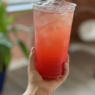 Fruit Rollup Energy Tea