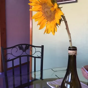 Simple decor. Cheery colors. Decorative patio lights accenting the ceiling inside.