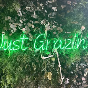 just giraffe neon sign