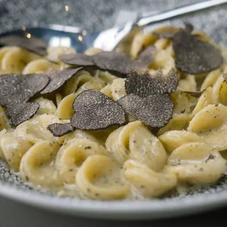 TRUFFLE ORECCHIETTE