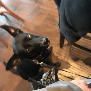 Dinner date