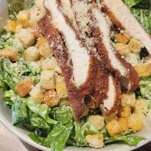 Chicken Caesar Salad