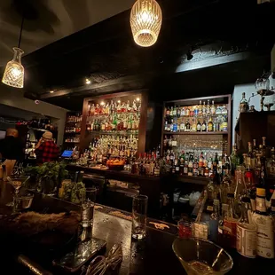 The Bar ... well stocked mixologists.