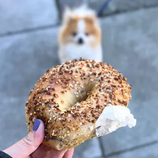 Everything Bagel (bakers dozen-$30) w/ a smear of plain cream cheese (tub-$6). A rip &amp; dip situation.