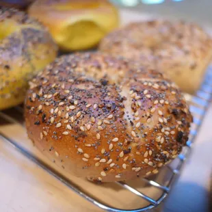 Everything bagel