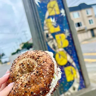 everything bagel with scallion cream cheese