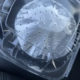 the inside of a plastic container