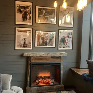 Dog inspo everywhere