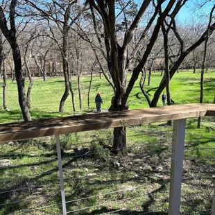 You can walk your dog out back behind the restaurant