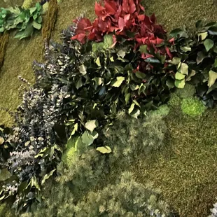 Plant walls, nice air