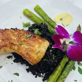 Sea bass over black rice