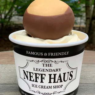 an ice cream in a cup
