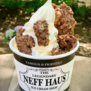 a cup of ice cream