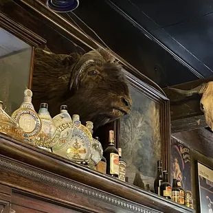 a bull&apos;s head on the bar