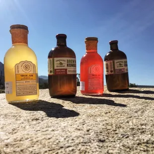Brew Dr.Kombucha [Love | White Rose]  True Jun [Pink Opal | Ethos]