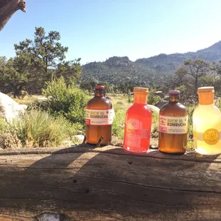 Brew Dr.Kombucha [Love | White Rose]  True Jun [Pink Opal | Ethos]