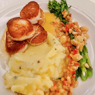 Seared Sea Scallops