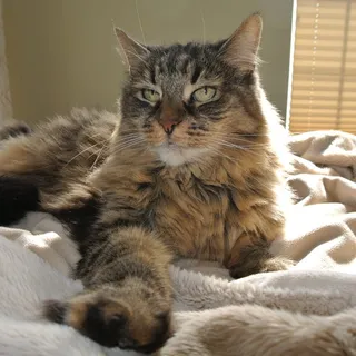 Rosie L.