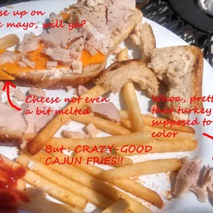 The Best Turkey Sandwich ever--NOT!!!!!