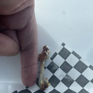 Wing bone. Look how small.