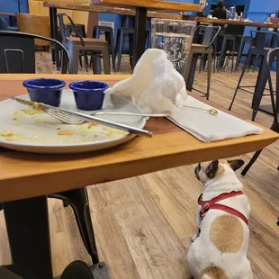 Food was good. Service was below average.