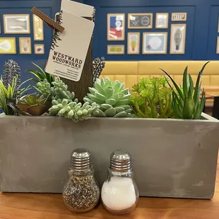 Cute decorations &amp; plants.