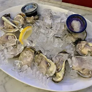 Oysters