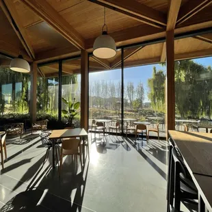 Beautiful ambience (morning, sept 2022)