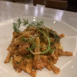 Casarecci pasta ragu micro fennel