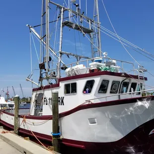 Fishing and sponge boats all along dock