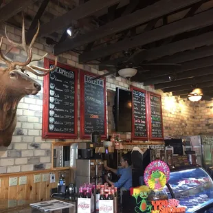 a deer head mounted on the wall