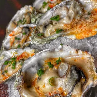 Grilled oysters