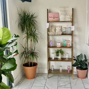 So cute  love all the plants inside