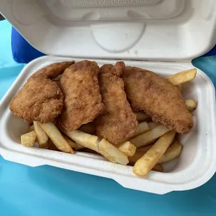 Chicken tenders with fries .. $17!!!