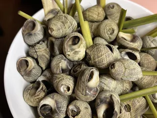 Won Won Seafood Market