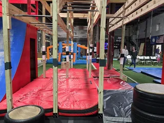 Ultimate Ninja