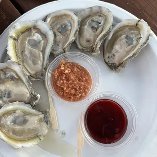 Oysters from oyster daddy